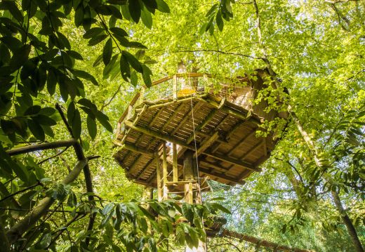 Cabane dans les arbres «Ben Nevis» en Bretagne