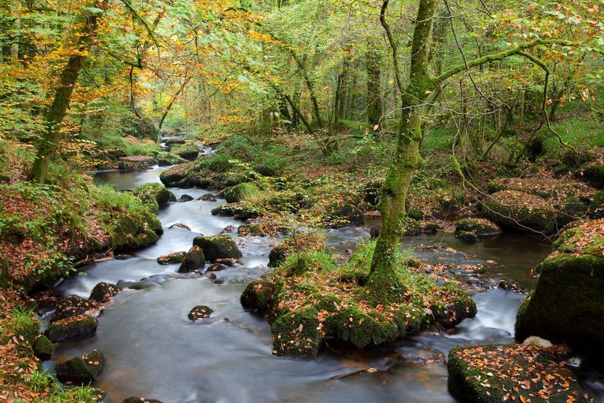 La magnifique forêt d'Huelgoat dans le Finistère La magnifique forêt d'Huelgoat dans le Finistère