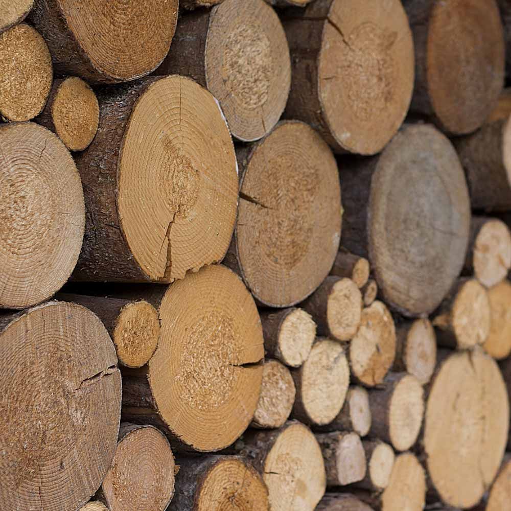 Vente de bois de chauffage près de Morlaix dans le Finistère Vente de bois de chauffage près de Morlaix dans le Finistère