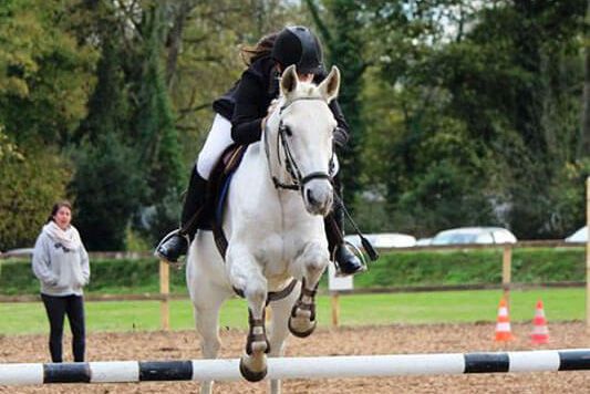 Cours d'équitation près de Morlaix : CSO, dressage, TREC Cours d'équitation près de Morlaix : CSO, dressage, TREC