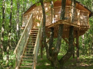 🌿 Cabane dans les arbres TINTO 🌿
Envie de vous évader au cœur de la forêt ? 
🔗https://www.domaine-treuscoat.fr/cabane-tinto.php

✨ Venez séjourner en famille...