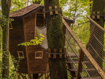 🌳Cabane dans les arbres BEN LOMOND🌳
🔗 https://www.domaine-treuscoat.fr/cabane-ben-lomond.php

Nichée à 6 mètres de hauteur, au cœur de la forêt de Ben...