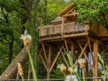 Cabane perchée HARRIS 🌟
🔗https://www.domaine-treuscoat.fr/harris.php
Envie de prendre de la hauteur et de vous offrir un moment suspendu en pleine nature ?...
